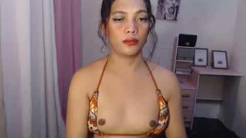 Venice online show from 02-21-26, 05:47