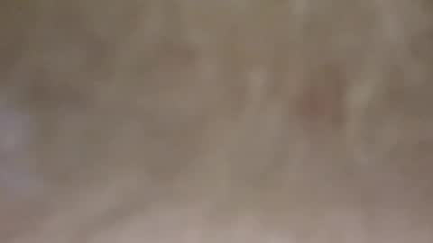 Snapshot of emilmirror chatting on 02-11-25, 07:54 emilmirror online show from 02-11-25, 07:54