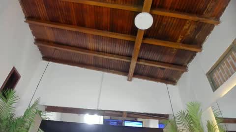 Emily  online show from 02-26-26, 10:58