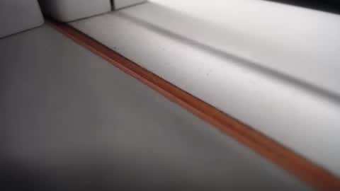 Snapshot of emily_hott1 chatting on 02-24-25, 10:37 emily hoot1 online show from 02-24-25, 10:37