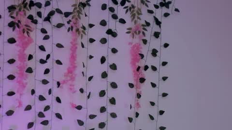 Snapshot of emily_montoya chatting on 01-30-25, 02:38 Emily online show from 01-30-25, 02:38