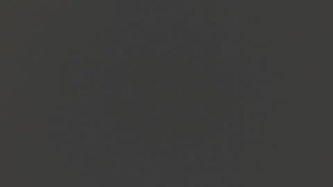 Liss online show from 12-15-24, 09:42