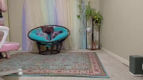 emily haze online show from 10-24-25, 06:26