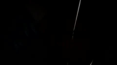 whises lits        online show from 12-14-24, 11:07