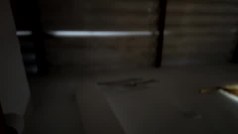 whises lits        online show from 12-16-24, 11:55