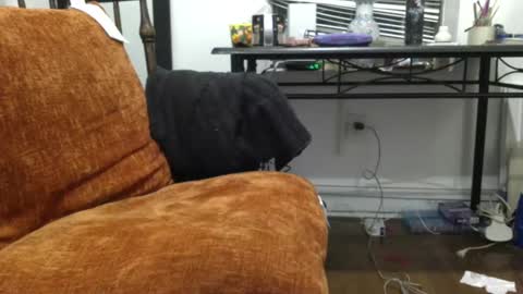 empusalamia online show from 01-18-25, 11:22