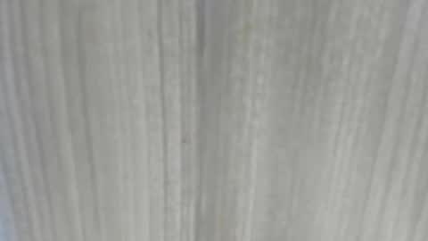 emycarver09 online show from 02-01-26, 11:31