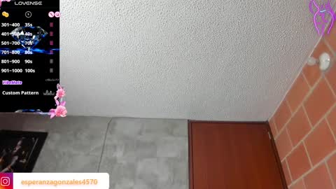 Snapshot of esperancita4570 chatting on 12-14-24, 10:13 HOPE online show from 12-14-24, 10:13