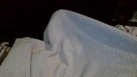 Snapshot of eu369033 chatting on 02-25-26, 08:07 eu369033 online show from 02-25-26, 08:07