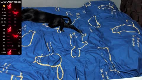 Eva online show from 01-19-25, 01:01