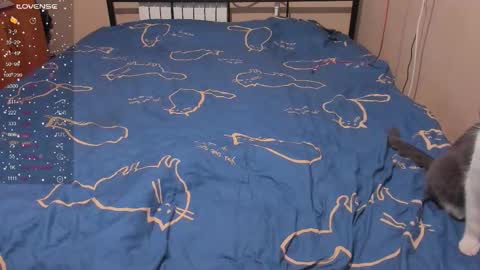 Snapshot of eva_zero chatting on 01-13-26, 03:06 Eva online show from 01-13-26, 03:06