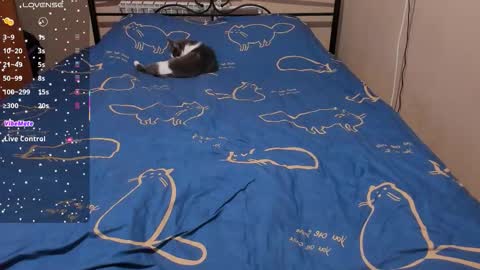 Snapshot of eva_zero chatting on 02-08-26, 02:09 Eva online show from 02-08-26, 02:09