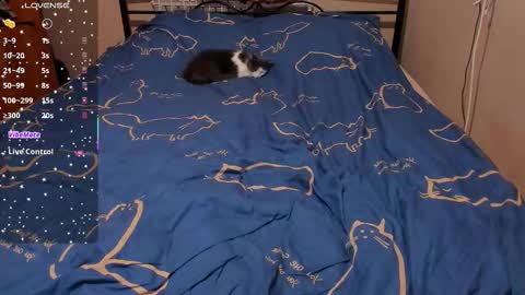 Snapshot of eva_zero chatting on 02-27-26, 03:12 Eva online show from 02-27-26, 03:12