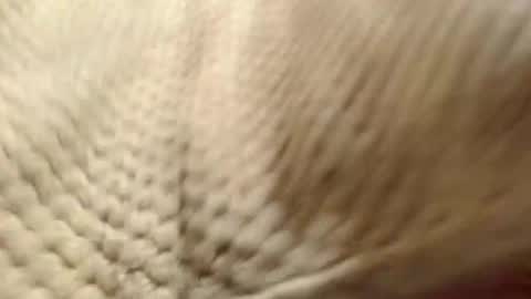 Snapshot of evahootxx chatting on 12-14-24, 07:29 EVA online show from 12-14-24, 07:29