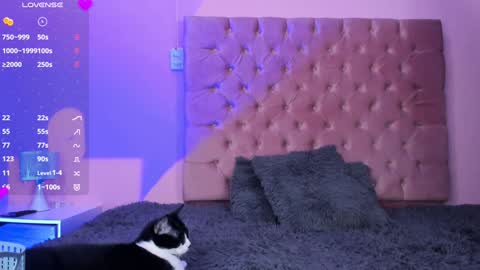 Snapshot of evaolimpo chatting on 01-08-25, 08:50 Eva Olimpo online show from 01-08-25, 08:50
