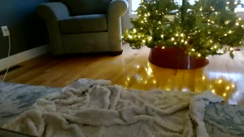 Everleighmae online show from 12-09-24, 01:24