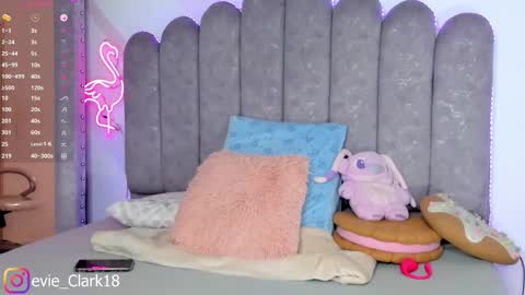 My name is Evie  nice to meet you  really get to know me better private is open  online show from 11-27-25, 07:27