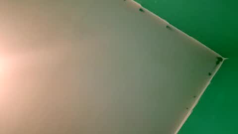 experttreecompany online show from 04-12-26, 10:26