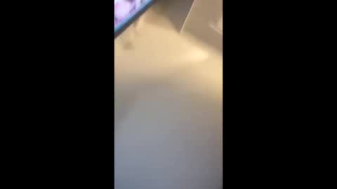 eyelyke2kream online show from 09-08-25, 07:13