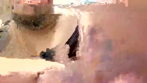 eyyoboobo0 online show from 03-19-26, 06:12