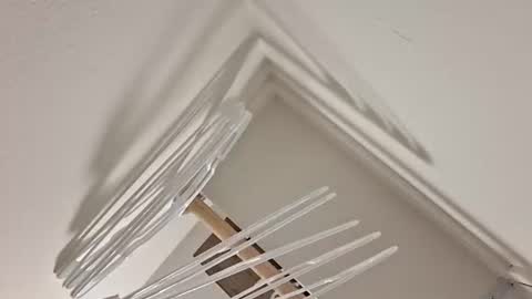 eyyoboobo0 online show from 04-17-26, 11:08