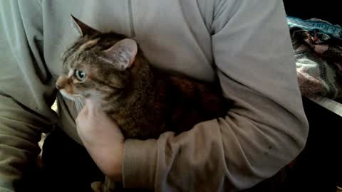 Snapshot of fabius2673 chatting on 02-05-25, 08:54 Fabius online show from 02-05-25, 08:54