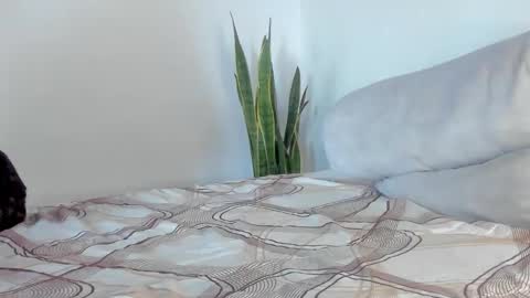 -  A N D E R online show from 01-11-26, 02:00