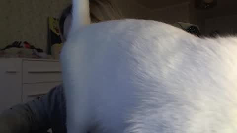 Arisha online show from 11-06-25, 01:01