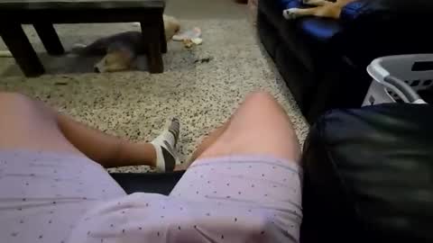 Snapshot of faker1414 chatting on 02-02-26, 02:10 faker1414 online show from 02-02-26, 02:10