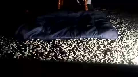 fallguyb1875150 online show from 10-06-25, 10:12