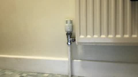 Snapshot of fantacyland chatting on 12-03-24, 09:55 Alex online show from 12-03-24, 09:55