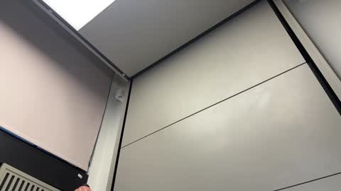 Gattino online show from 12-03-24, 08:16