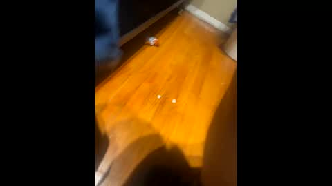 fatz71056 online show from 10-16-25, 10:16