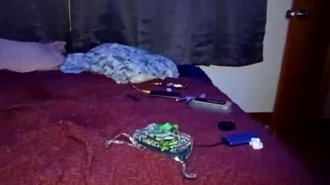 Snapshot of feetandmeat420 chatting on 10-29-25, 09:33 feetandmeat420 online show from 10-29-25, 09:33