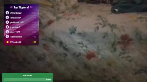 Snapshot of feetnymph chatting on 02-15-25, 05:41 Soley online show from 02-15-25, 05:41