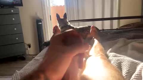 FEETOMINES online show from 10-18-25, 03:57