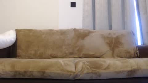 FelineChic online show from 01-10-25, 04:44