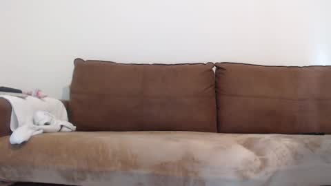 FelineChic online show from 01-17-25, 05:42