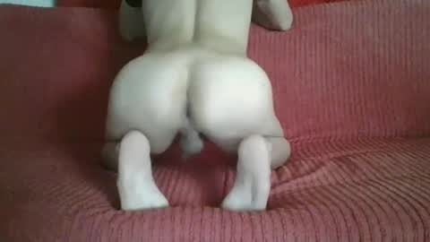 femboyhot28 online show from 11-09-25, 03:05