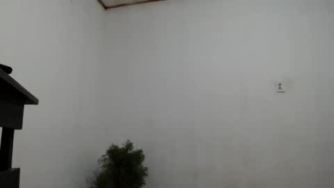 fernandez_latinblack online show from 12-02-24, 04:20