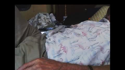 ferra_testarossa online show from 09-17-25, 02:13