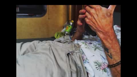 ferra_testarossa online show from 10-09-25, 05:05