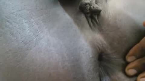 Snapshot of ferriena chatting on 09-27-25, 04:06 Ferie online show from 09-27-25, 04:06