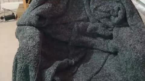 Snapshot of ffys2025 chatting on 02-13-26, 09:22 ffys2025 online show from 02-13-26, 09:22