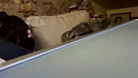 Snapshot of fidelio89 chatting on 01-28-25, 10:23 Fid online show from 01-28-25, 10:23