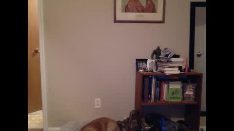 Snapshot of fitbit90 chatting on 03-09-25, 09:46 FitBit online show from 03-09-25, 09:46