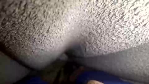 Snapshot of flaash_99 chatting on 03-02-26, 11:28 flaash_99 online show from 03-02-26, 11:28