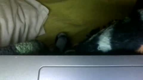 Snapshot of flintstone_mafia chatting on 10-21-25, 01:06 FLINTSTONE MAFIA online show from 10-21-25, 01:06