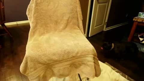 floryder86 online show from 01-10-25, 07:32