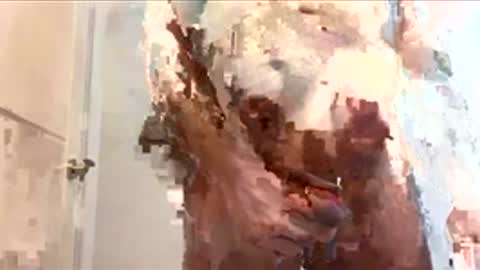 floxc online show from 12-15-25, 07:40